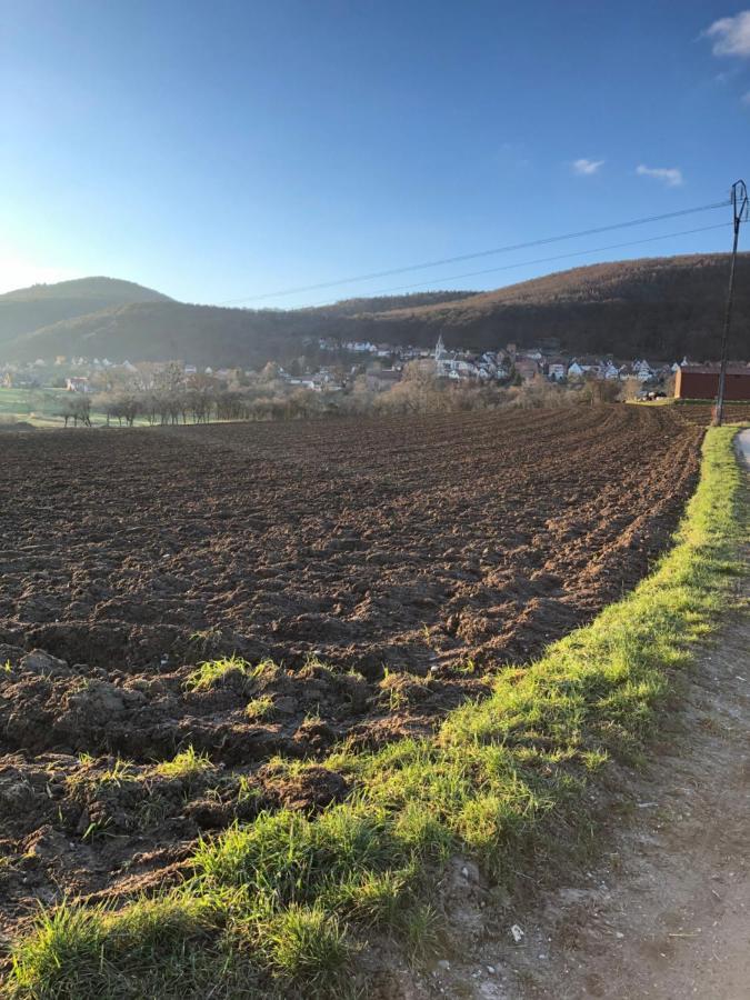Gite L'Instant Durable Oberbronn Eksteriør bilde