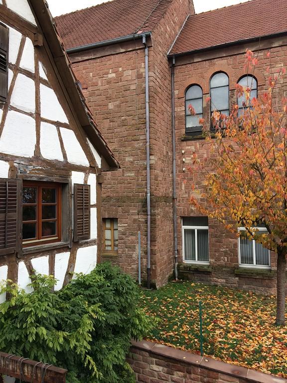 Gite L'Instant Durable Oberbronn Eksteriør bilde