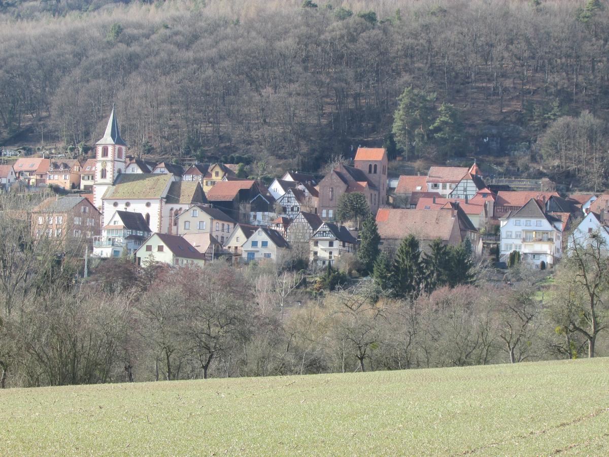 Gite L'Instant Durable Oberbronn Eksteriør bilde